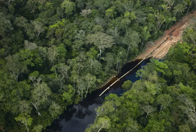 Amazônia